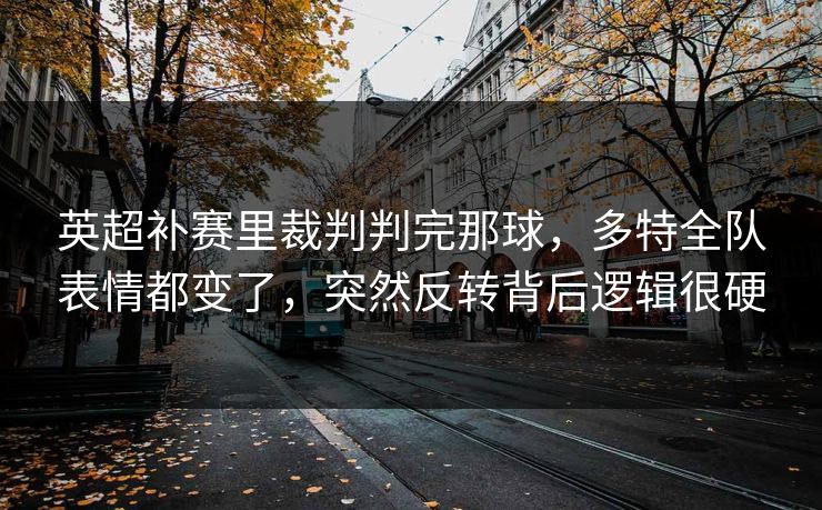 英超补赛里裁判判完那球，多特全队表情都变了，突然反转背后逻辑很硬
