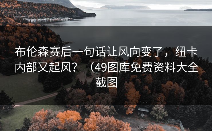 布伦森赛后一句话让风向变了，纽卡内部又起风？（49图库免费资料大全截图