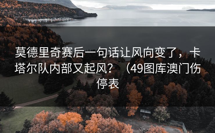 莫德里奇赛后一句话让风向变了，卡塔尔队内部又起风？（49图库澳门伤停表