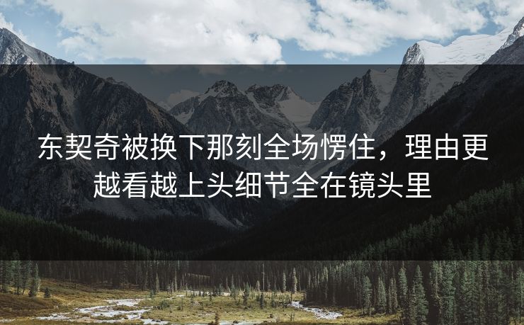 东契奇被换下那刻全场愣住，理由更越看越上头细节全在镜头里