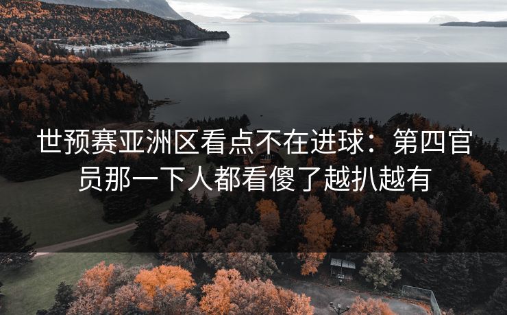 世预赛亚洲区看点不在进球：第四官员那一下人都看傻了越扒越有