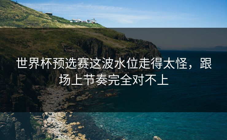 世界杯预选赛这波水位走得太怪，跟场上节奏完全对不上