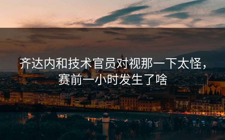齐达内和技术官员对视那一下太怪，赛前一小时发生了啥