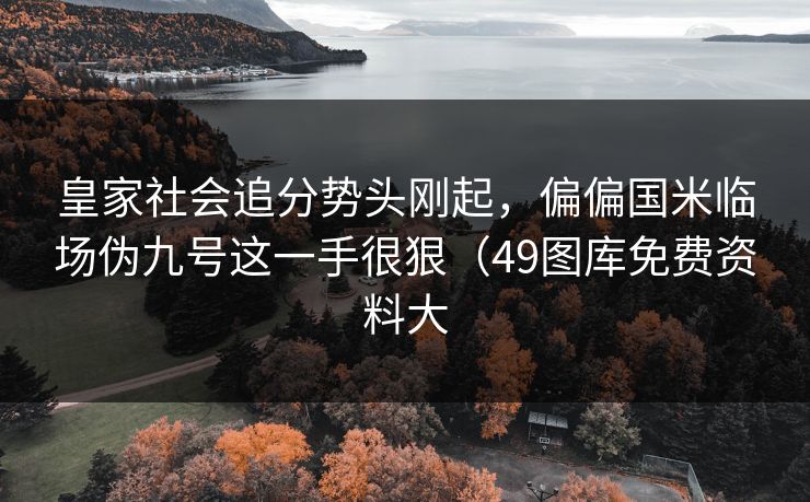 皇家社会追分势头刚起，偏偏国米临场伪九号这一手很狠（49图库免费资料大